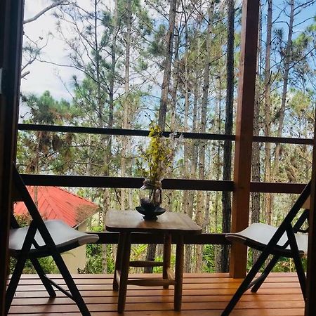 Casa De Arbol, Rancho Tierra Alta Hotel คาราวากวา ภายนอก รูปภาพ
