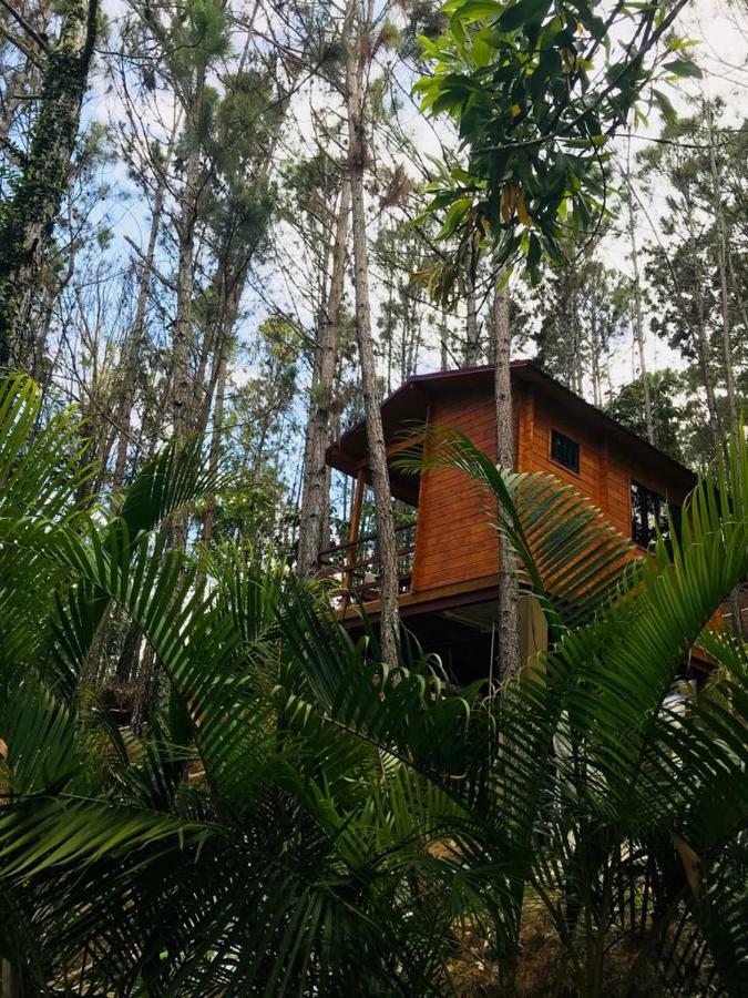 Casa De Arbol, Rancho Tierra Alta Hotel คาราวากวา ภายนอก รูปภาพ