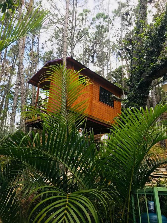 Casa De Arbol, Rancho Tierra Alta Hotel คาราวากวา ภายนอก รูปภาพ